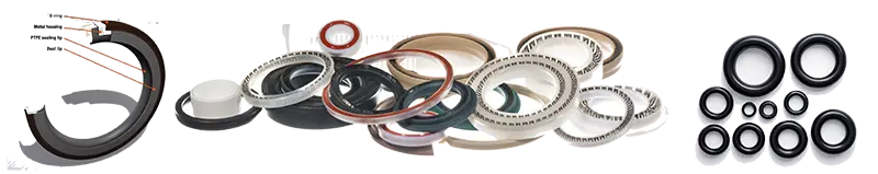 PTFE SEALS & O-RINGS